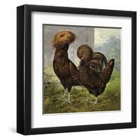 Chickens: Gold Spangled Polish-Lewis Wright-Framed Art Print