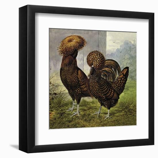 Chickens: Gold Spangled Polish-Lewis Wright-Framed Art Print