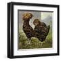 Chickens: Gold Spangled Polish-Lewis Wright-Framed Art Print