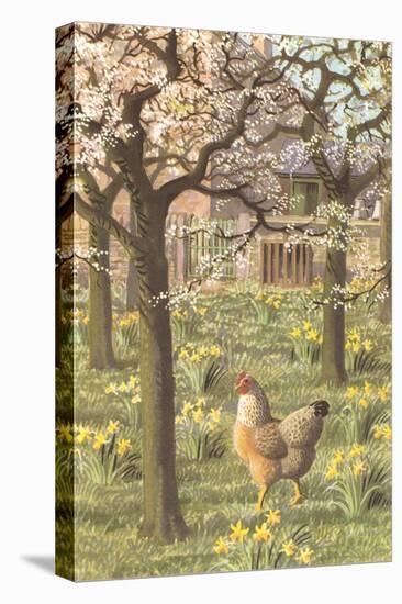 Chickens in the Spring-null-Stretched Canvas