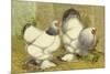 Chickens: Light Brahmas-Lewis Wright-Mounted Art Print