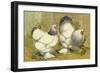 Chickens: Light Brahmas-Lewis Wright-Framed Art Print