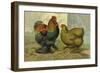 Chickens: Partridge Cochins-Lewis Wright-Framed Art Print