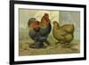 Chickens: Partridge Cochins-Lewis Wright-Framed Art Print