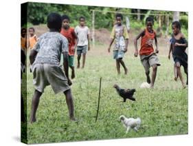 Chickens Run to Avoid a Soccer Game Played by Children from Lolovoli Village on the Island of Ambae-null-Stretched Canvas