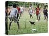 Chickens Run to Avoid a Soccer Game Played by Children from Lolovoli Village on the Island of Ambae-null-Stretched Canvas