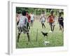 Chickens Run to Avoid a Soccer Game Played by Children from Lolovoli Village on the Island of Ambae-null-Framed Photographic Print