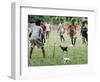 Chickens Run to Avoid a Soccer Game Played by Children from Lolovoli Village on the Island of Ambae-null-Framed Photographic Print