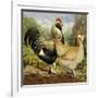 Chickens: Salmon Faverolles-Lewis Wright-Framed Art Print