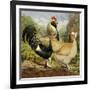 Chickens: Salmon Faverolles-Lewis Wright-Framed Art Print