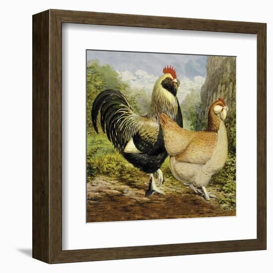 Chickens: Salmon Faverolles-Lewis Wright-Framed Art Print