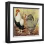 Chickens: Silver-Grey Dorkings-Lewis Wright-Framed Art Print