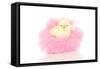 Chicks 001-Andrea Mascitti-Framed Stretched Canvas