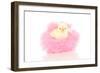 Chicks 001-Andrea Mascitti-Framed Photographic Print