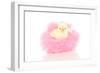 Chicks 001-Andrea Mascitti-Framed Photographic Print