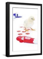 Chicks 003-Andrea Mascitti-Framed Photographic Print