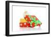 Chicks 006-Andrea Mascitti-Framed Photographic Print