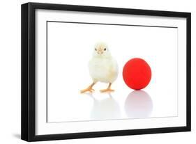 Chicks 007-Andrea Mascitti-Framed Photographic Print