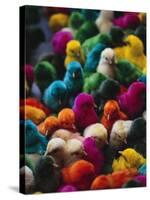 Chicks Colored for Indian Holiday-David H. Wells-Stretched Canvas