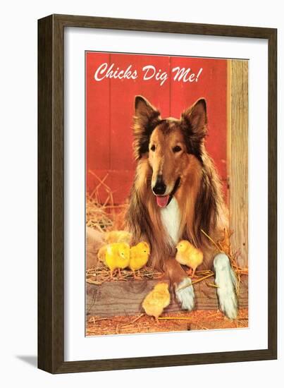 Chicks Dig Me, Collie-null-Framed Art Print