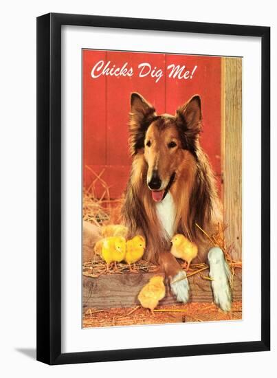 Chicks Dig Me, Collie-null-Framed Art Print