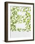 Chickweed, Stellaria Media, Starweed, Leaves, Green-Axel Killian-Framed Photographic Print