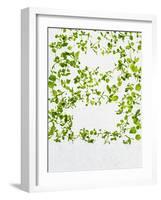 Chickweed, Stellaria Media, Starweed, Leaves, Green-Axel Killian-Framed Photographic Print