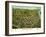 Chicopee, Massachusetts - Panoramic Map-Lantern Press-Framed Art Print