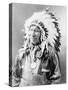 Chief American Horse, C.1900 (B/W Photo)-John Alvin Anderson-Stretched Canvas