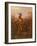 Chief Billy Bowlegs, 1861-Charles Ferdinand Wimar-Framed Giclee Print