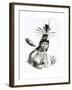 Chief Camacan Mongoyo from 'A Pitoresque and Historical Trip to Brazil' by Jean Baptist Debret-Charles Etienne Pierre Motte-Framed Giclee Print