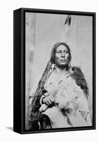 Chief Gall (C.1840-94) (B/W Photo)-American Photographer-Framed Stretched Canvas