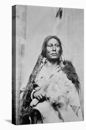 Chief Gall (C.1840-94) (B/W Photo)-American Photographer-Stretched Canvas