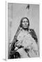 Chief Gall (C.1840-94) (B/W Photo)-American Photographer-Framed Giclee Print