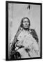 Chief Gall (C.1840-94) (B/W Photo)-American Photographer-Framed Giclee Print