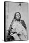 Chief Gall (C.1840-94) (B/W Photo)-American Photographer-Framed Stretched Canvas