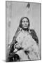 Chief Gall (C.1840-94) (B/W Photo)-American Photographer-Mounted Giclee Print