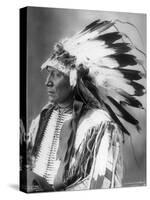 Chief Hollow Horn Bear, Sioux, 1898-Frank A. Rinehart-Stretched Canvas