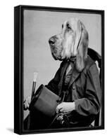 Chief Inspector Houndsbury-Grand Ole Bestiary-Framed Stretched Canvas