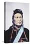 Chief Joseph (1840-1904) 1878 (Photo)-William Henry Jackson-Stretched Canvas