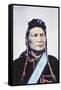 Chief Joseph (1840-1904) 1878 (Photo)-William Henry Jackson-Framed Stretched Canvas