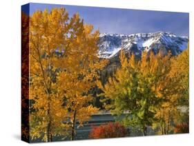 Chief Joseph Mountain-Steve Terrill-Stretched Canvas