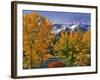 Chief Joseph Mountain-Steve Terrill-Framed Photographic Print