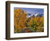 Chief Joseph Mountain-Steve Terrill-Framed Photographic Print