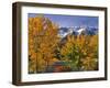 Chief Joseph Mountain-Steve Terrill-Framed Photographic Print