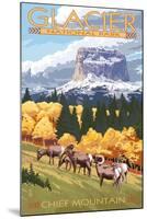 Chief Mountain and Big Horn Sheep - Glacier National Park, Montana-Lantern Press-Mounted Art Print