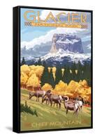 Chief Mountain and Big Horn Sheep - Glacier National Park, Montana-Lantern Press-Framed Stretched Canvas