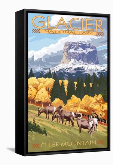 Chief Mountain and Big Horn Sheep - Glacier National Park, Montana-Lantern Press-Framed Stretched Canvas