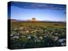 Chief Mountain and Prairie Wildflowers at Glacier National Park, Montana, USA-Chuck Haney-Stretched Canvas