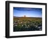 Chief Mountain and Prairie Wildflowers at Glacier National Park, Montana, USA-Chuck Haney-Framed Photographic Print